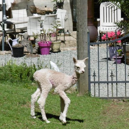 مبيت وإفطار Rancon Lazy Days المظهر الخارجي الصورة