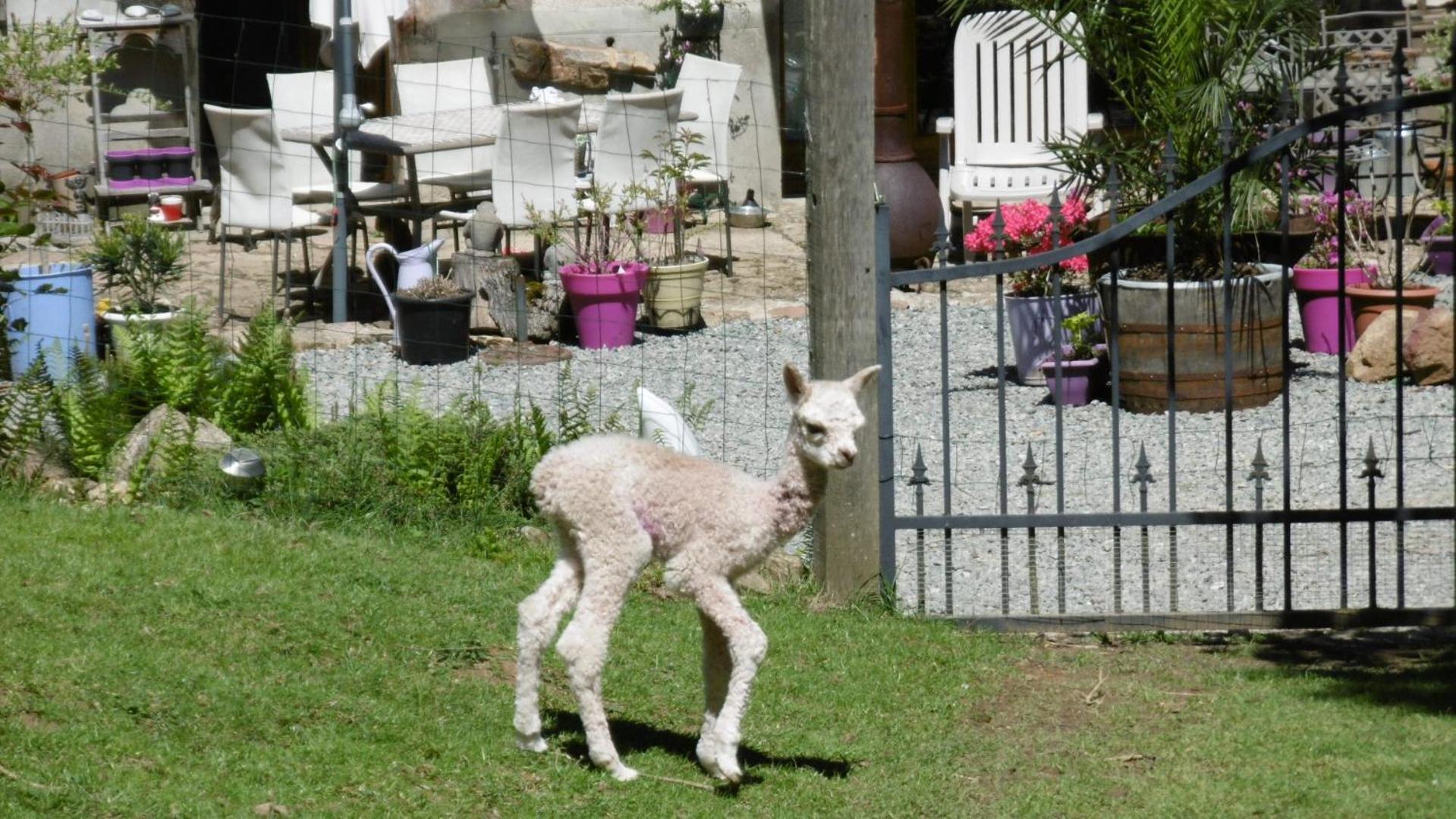 مبيت وإفطار Rancon Lazy Days المظهر الخارجي الصورة