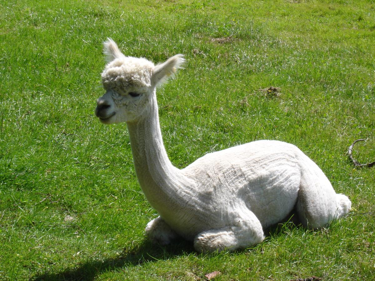 مبيت وإفطار Rancon Lazy Days المظهر الخارجي الصورة